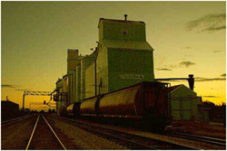 Westlock Grain Terminals, a new generation co-operative in Westlock, Alberta